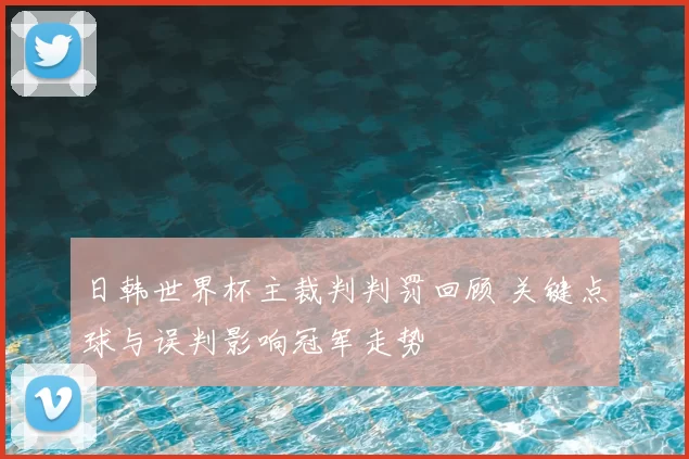 日韩世界杯主裁判判罚回顾 关键点球与误判影响冠军走势