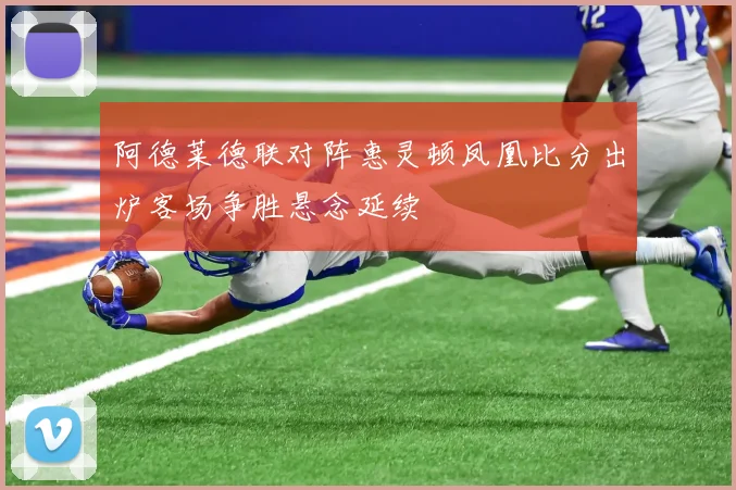 阿德莱德联对阵惠灵顿凤凰比分出炉客场争胜悬念延续