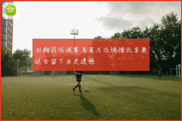 刘翔因伤退赛鸟巢万众惋惜北京奥运会留下历史遗憾